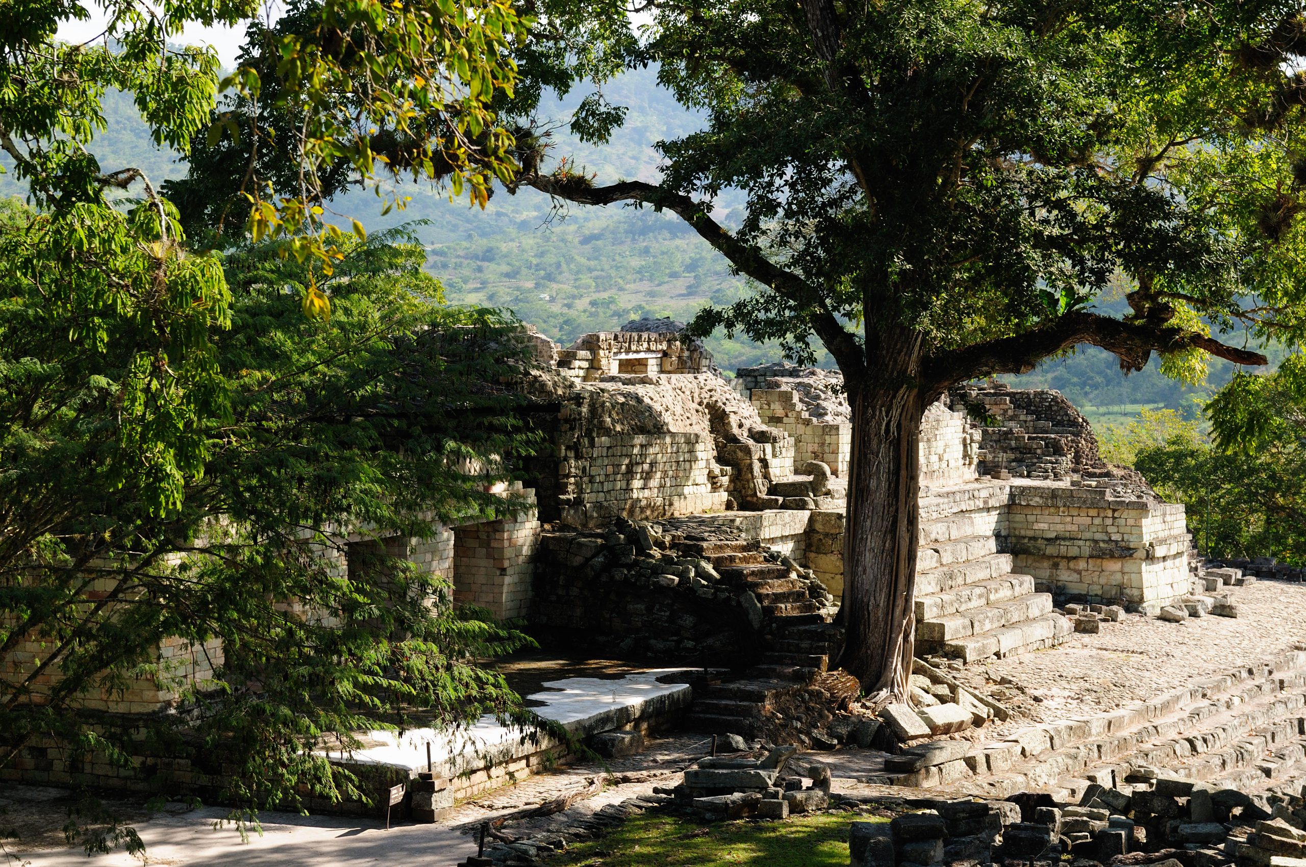 Honduras, Mayan city ruins in Copan. The picture presents walls of the temple, Central America